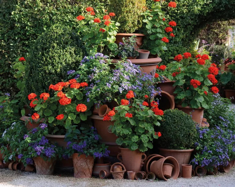 Gardening Ideas - (Image credit: Whichford Pottery