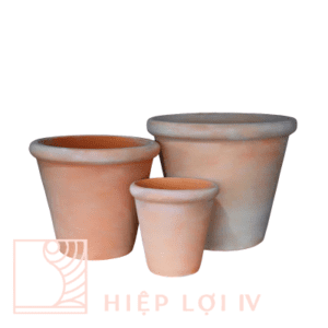 #HL 0195