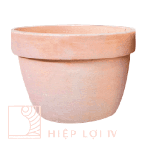 #HL 0212